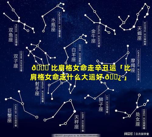 🐘 比肩格女命走辛丑运「比肩格女命走什么大运好 🌿 」
